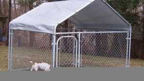 Wolter pre psa Urob to sám - spôsob, ako obmedziť pohyb domáceho maznáčika